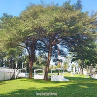 บรรยากาศ The white cafe at Banpong