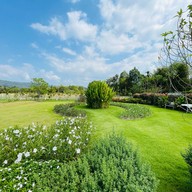 Lerva De Flora Cafe’