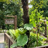 Green Always คาเฟ่และธรรมชาติ