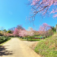 บรรยากาศ ศูนย์วิจัยเกษตรหลวงเชียงใหม่ (ขุนวาง)
