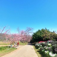 บรรยากาศ ศูนย์วิจัยเกษตรหลวงเชียงใหม่ (ขุนวาง)