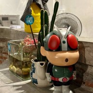 เชิญ ริมน้ำจันทบูร By Have A Seat