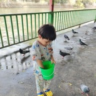 บรรยากาศ วัดโพสพผลเจริญ
