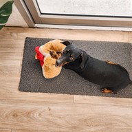 บรรยากาศ LONG DOG