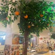 ร้านกระเพาะปลาหม้อเดือด แซ่จีน พระราม5