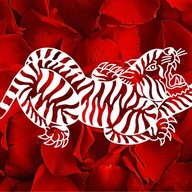 เสือหาว