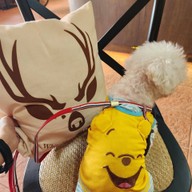 ไวท์ฮาท คาเฟ่ แอนด์ เบเกอรี่ โชคชัย 4