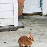 Ninja Park Samut Sakhon