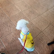 ไวท์ฮาท คาเฟ่ แอนด์ เบเกอรี่ โชคชัย 4