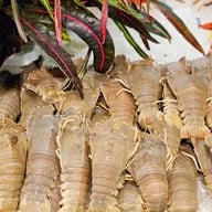 Tong talay seafood buffet -