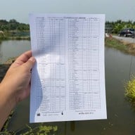 ยำริมบ่อ