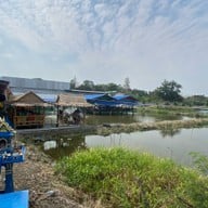 ยำริมบ่อ