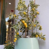 PRIDE Specialty Tea & Coffee Roasters ราชพฤกษ์