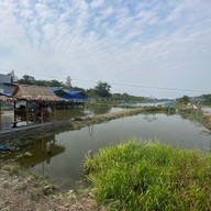 ยำริมบ่อ