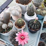 บรรยากาศ THE BOX HOUSE ริมน้ำแม่กลอง