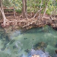 ท่าปอม คลองสองน้ำ