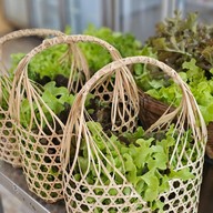 หมี่คลุกยายชูใจ สลัดอกไก่ย่าง-บ้านพลังธรรมชาติ ลพบุรี