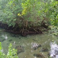 ท่าปอม คลองสองน้ำ