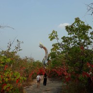 บรรยากาศ พญาศรีมุกดามหามุนีนีลปาลนาคราช