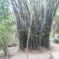 บรรยากาศ ร้านอาหารบ้านสวน