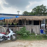 กินลม ชมควาย สาขาแรก