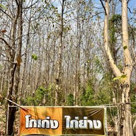 เมนูของร้าน ไก่ย่าง โกเก่ง