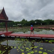 อุทยานบัวเฉลิมพระเกียรติ
