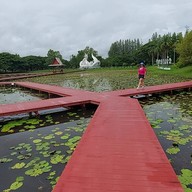 อุทยานบัวเฉลิมพระเกียรติ