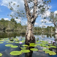 สวนพฤกษศาสตร์ระยอง