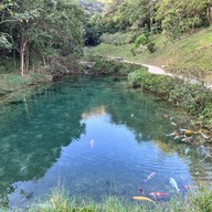 บ่อปลาคราฟต์