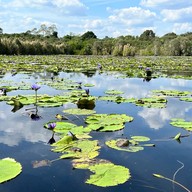 สวนพฤกษศาสตร์ระยอง