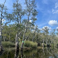สวนพฤกษศาสตร์ระยอง