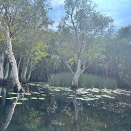 สวนพฤกษศาสตร์ระยอง