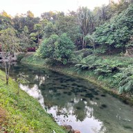 บ่อปลาคราฟต์