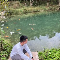 บ่อปลาคราฟต์