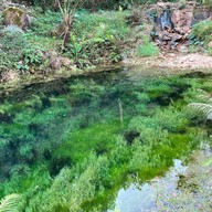 บ่อปลาคราฟต์