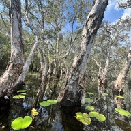 สวนพฤกษศาสตร์ระยอง