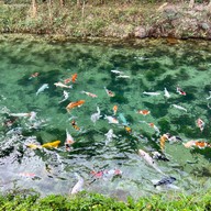 บ่อปลาคราฟต์