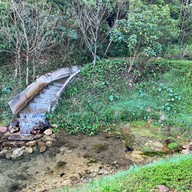 บ่อปลาคราฟต์
