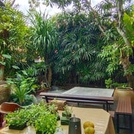 LE BONHEUR PÂTISSERIE