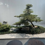 Treat Tea House -