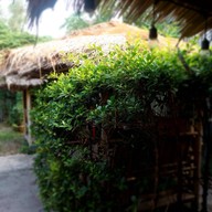 ร้านส้มตำเป่าปากbyฟ้าใสไหปลาร้า ส้มตำเป่าปากbyฟ้าใสไหปลาร้า