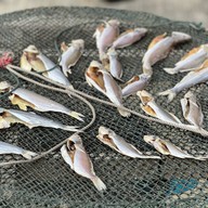 Tai O Fish Village-hongkong