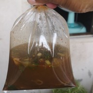 เมนูของร้าน ลาบยโสและอาหารป่าบ้านสร้างแต้1 อาหารอีสานและอาหารป่า