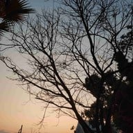 บรรยากาศ สวนสมเด็จพระศรีนครินทร์ นนทบุรี