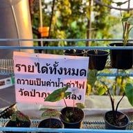 บรรยากาศ วัดป่าภูหายหลง