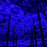 Teamlab Borderless Mori Building
