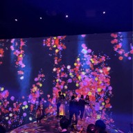 Teamlab Borderless Mori Building