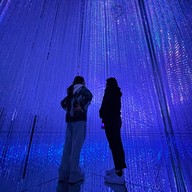 Teamlab Borderless Mori Building