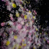 Teamlab Borderless Mori Building